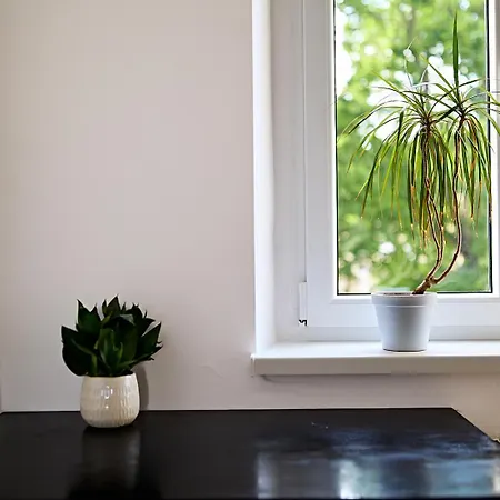 Jesionowa Comfort Apartmán *